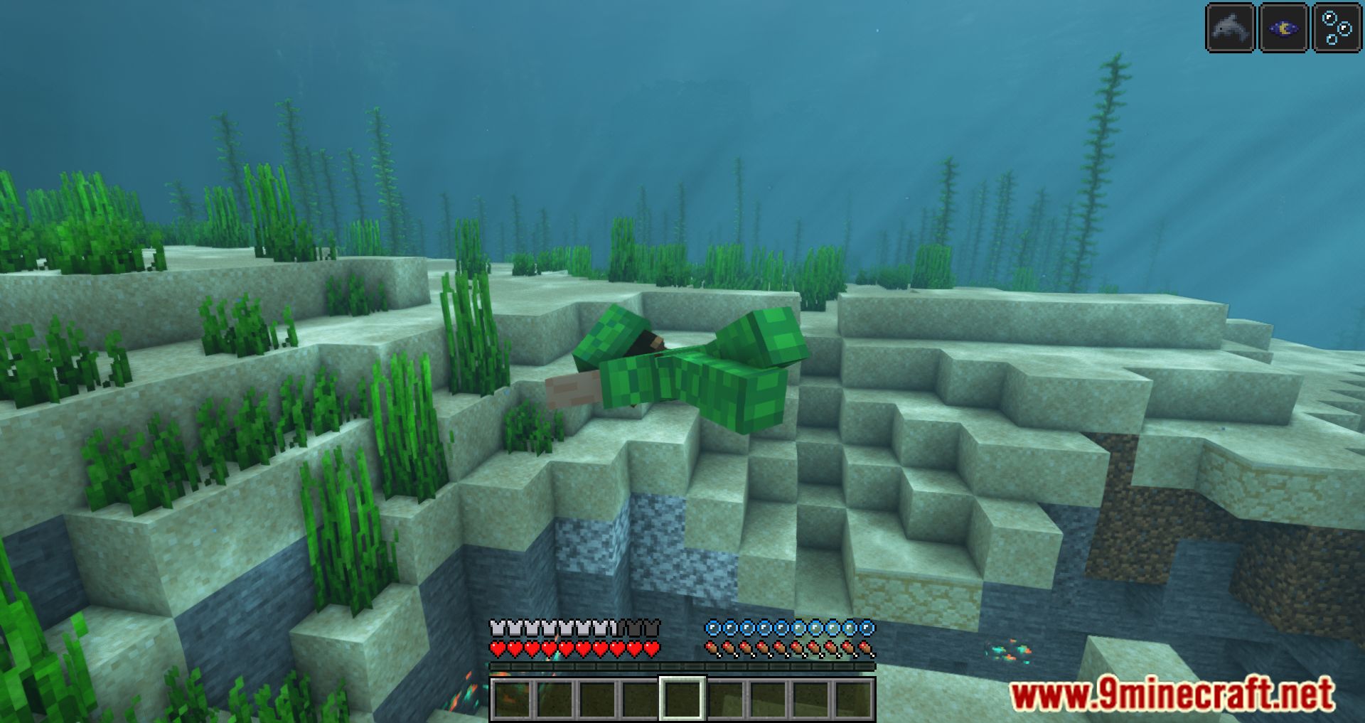 Full Turtle Armor Mod (1.20.4, 1.19.4) - Completes Minecraft's Turtle Armor Set 10