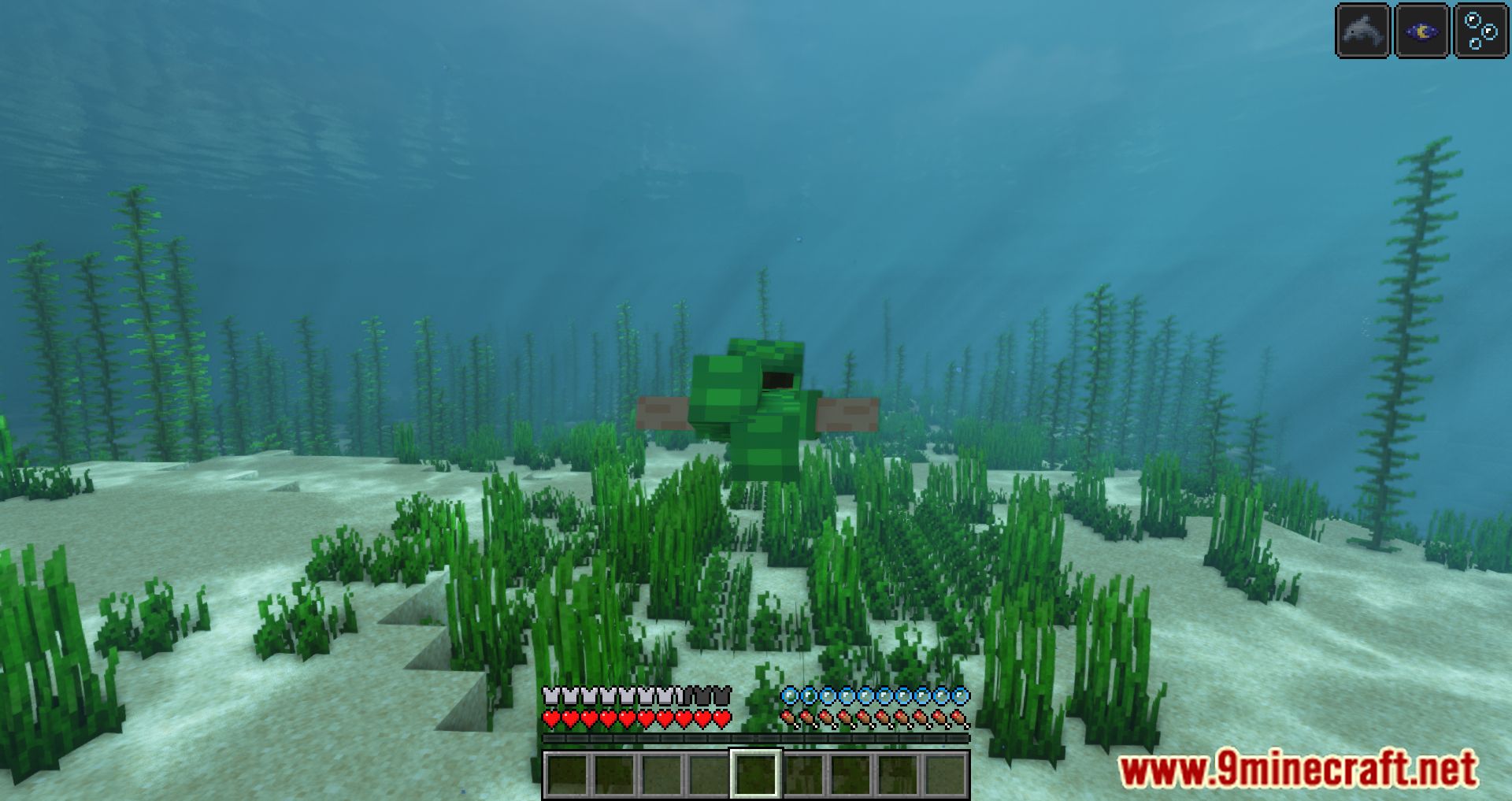 Full Turtle Armor Mod (1.20.4, 1.19.4) - Completes Minecraft's Turtle Armor Set 11