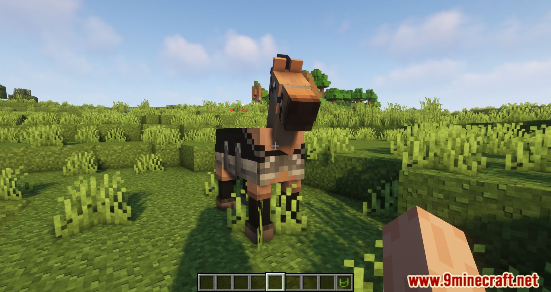 Horse Tack Mod (1.20.1, 1.19.2) - Several Types Of Tack 3