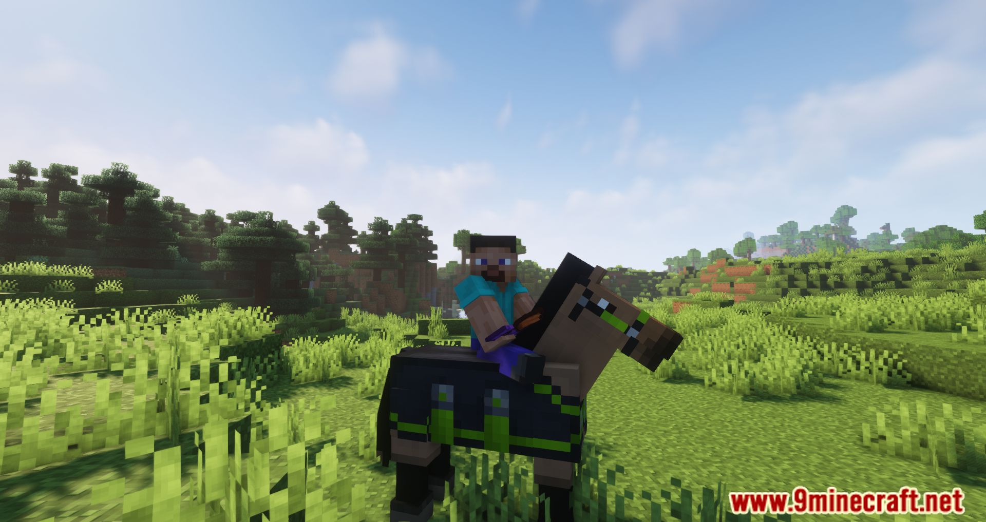 Horse Tack Mod (1.20.1, 1.19.2) - Several Types Of Tack 9