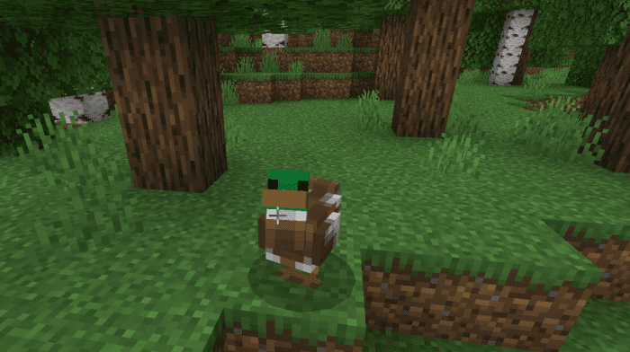 Just A Duck Addon (1.19) - MCPE/Bedrock Mod 5