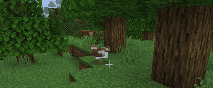 Just A Duck Addon (1.19) - MCPE/Bedrock Mod 6