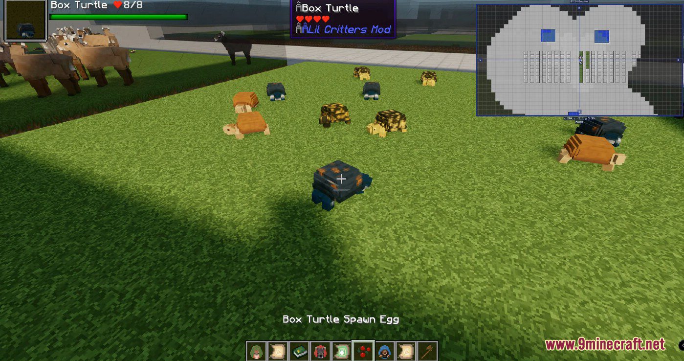 Lil' Critters Mod (1.16.5, 1.12.2) - All Cute Little Critters in Forest 11