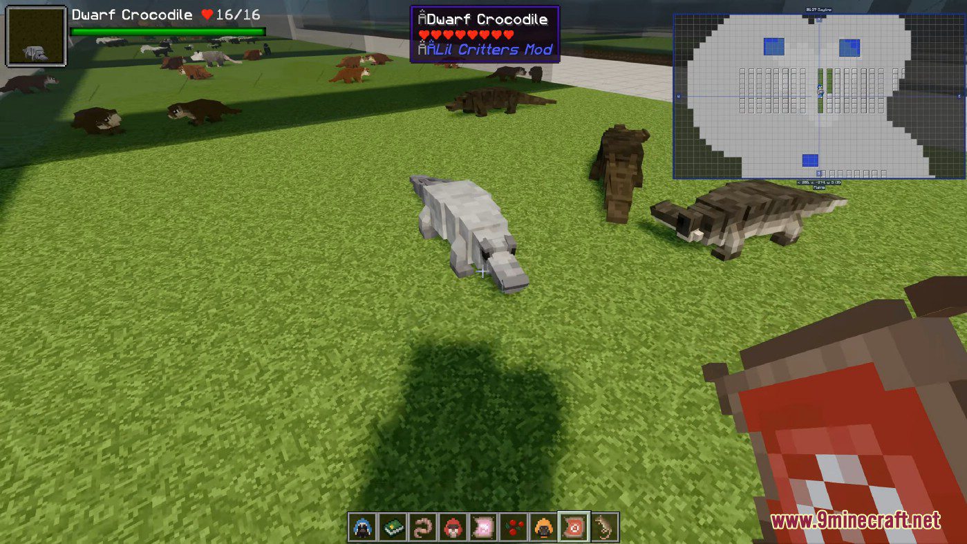 Lil' Critters Mod (1.16.5, 1.12.2) - All Cute Little Critters in Forest 16