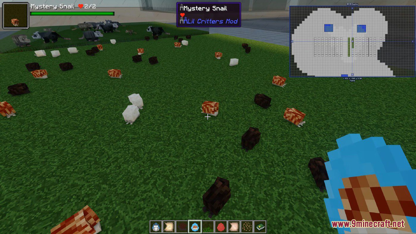 Lil' Critters Mod (1.16.5, 1.12.2) - All Cute Little Critters in Forest 23