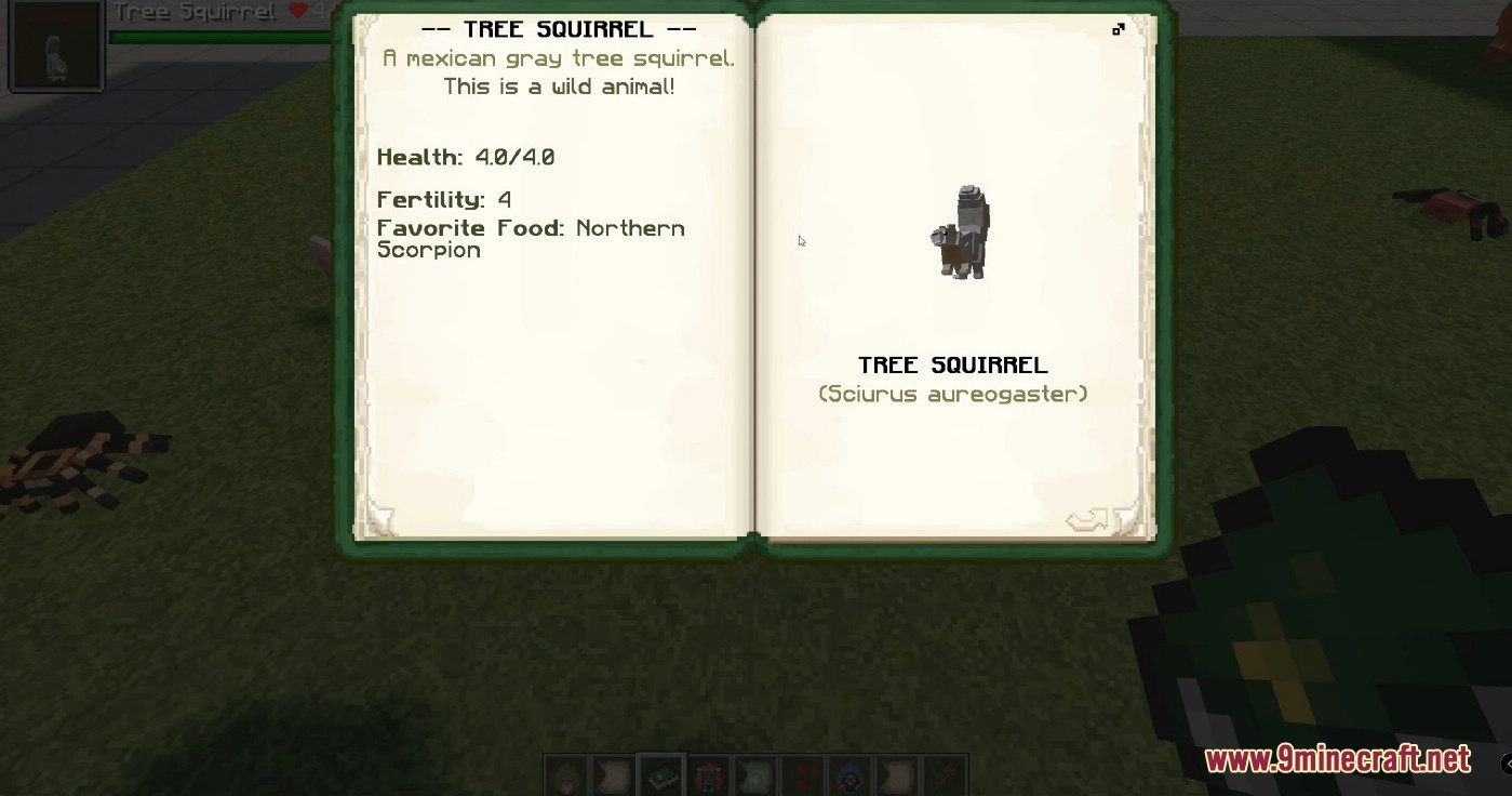 Lil' Critters Mod (1.16.5, 1.12.2) - All Cute Little Critters in Forest 5