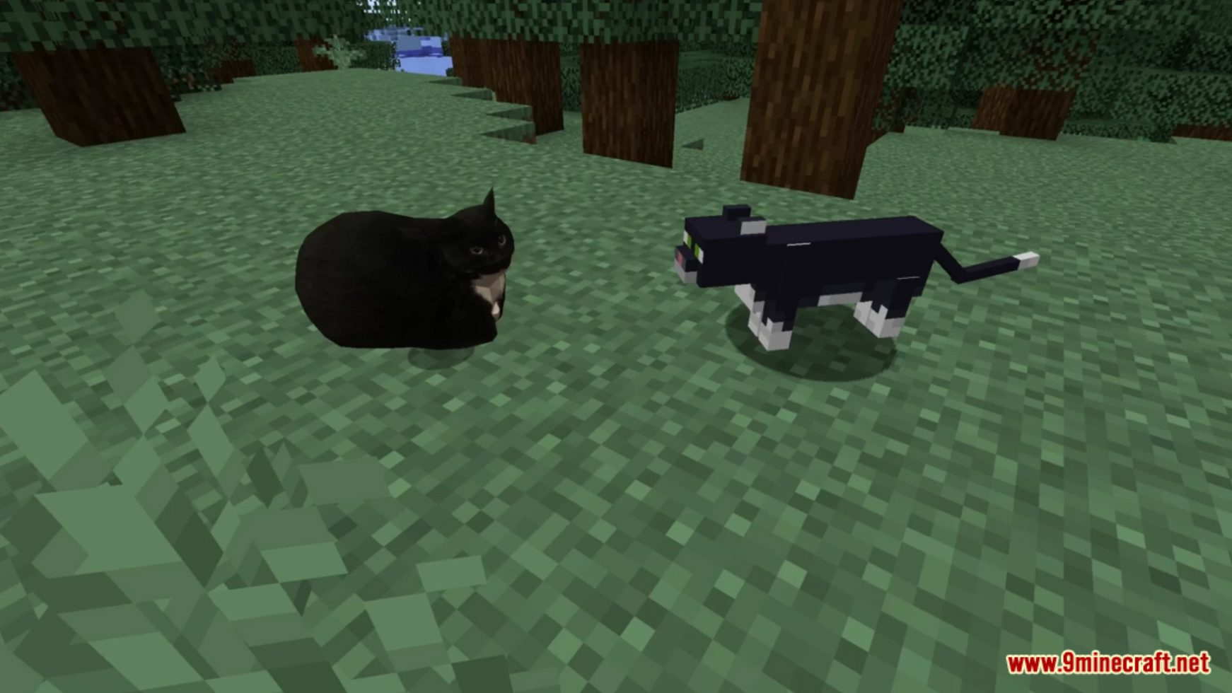 Maxwell Data Pack (1.19.4, 1.19.2) - Maxwell The Cat In Minecraft! 7