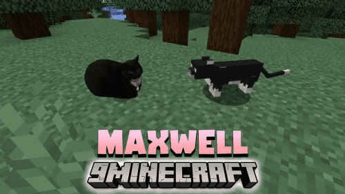 Maxwell Data Pack (1.19.4, 1.19.2) – Maxwell The Cat In Minecraft! Thumbnail