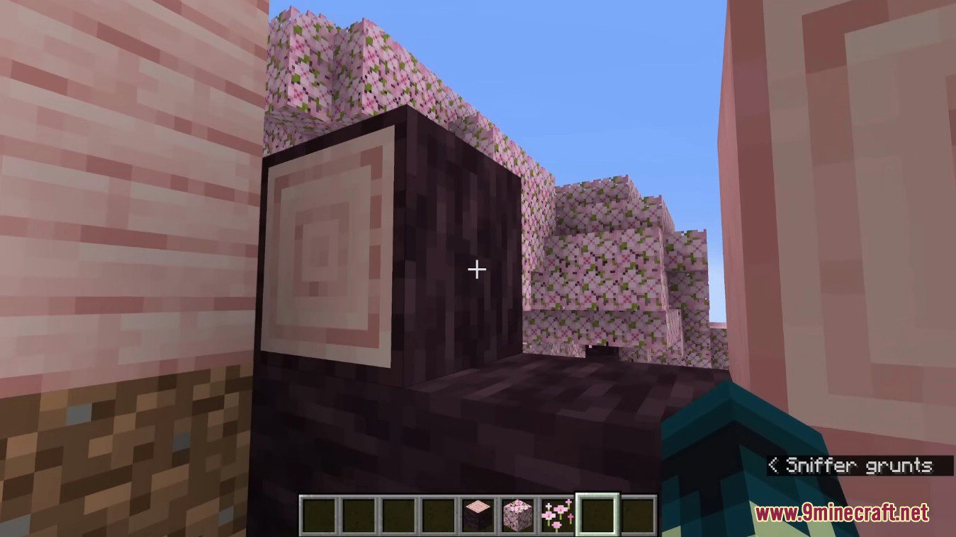 Minecraft 1.19.4 Snapshot 23w07a - Archaeology, Sniffer, Cherry Blossom 8