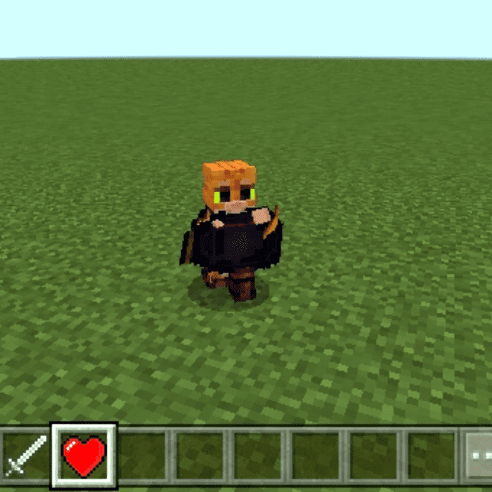 Puss in Boots 2 Addon (1.19) - MCPE/Bedrock Mod 10