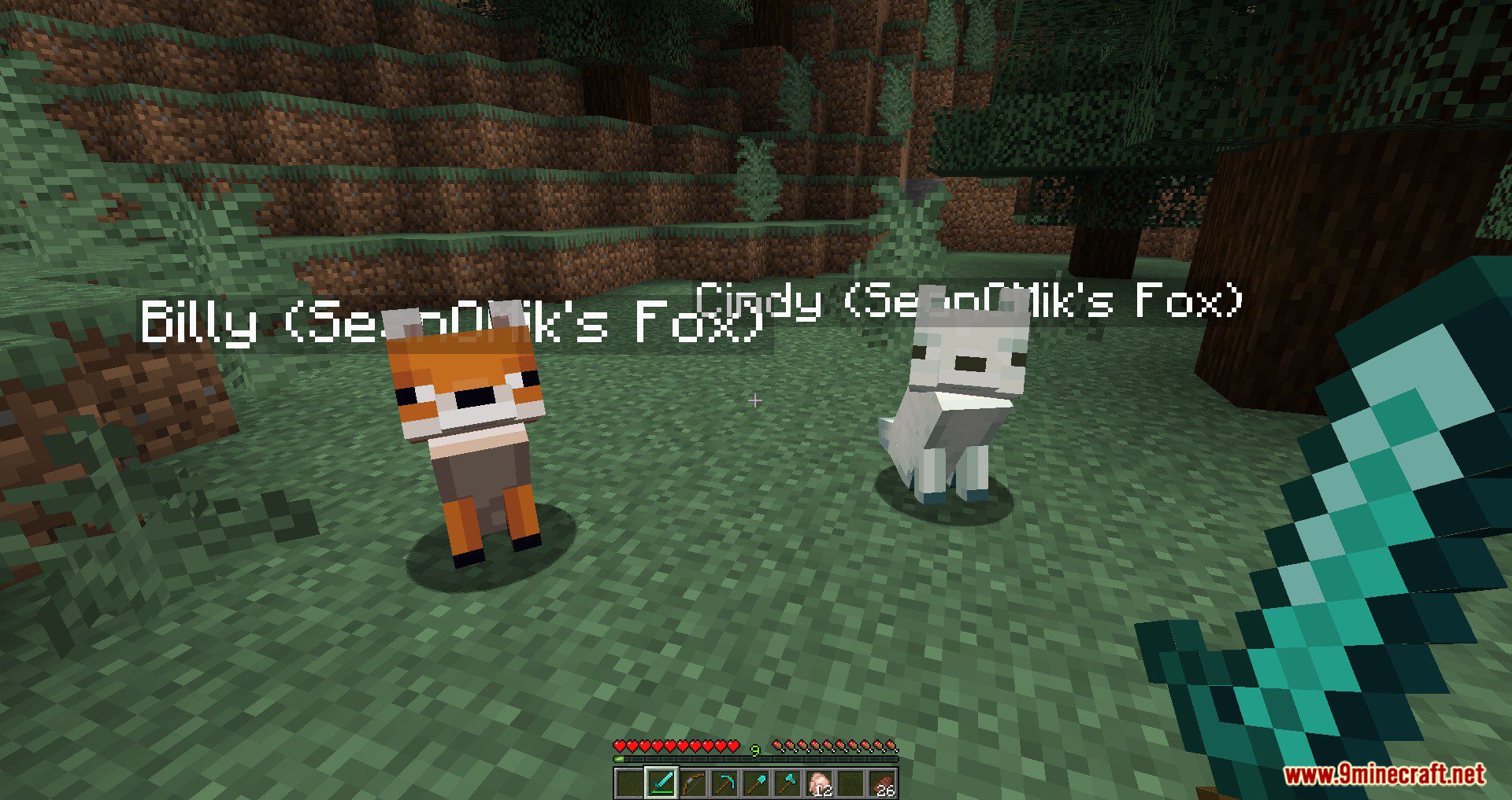 Tamable Foxes Plugin (1.20.1, 1.19.4) – Spigot 3