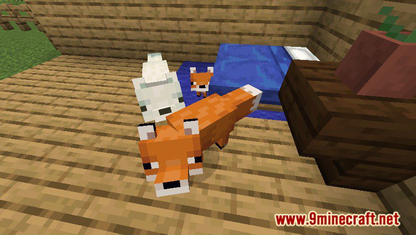 Tamable Foxes Plugin (1.20.1, 1.19.4) – Spigot 4