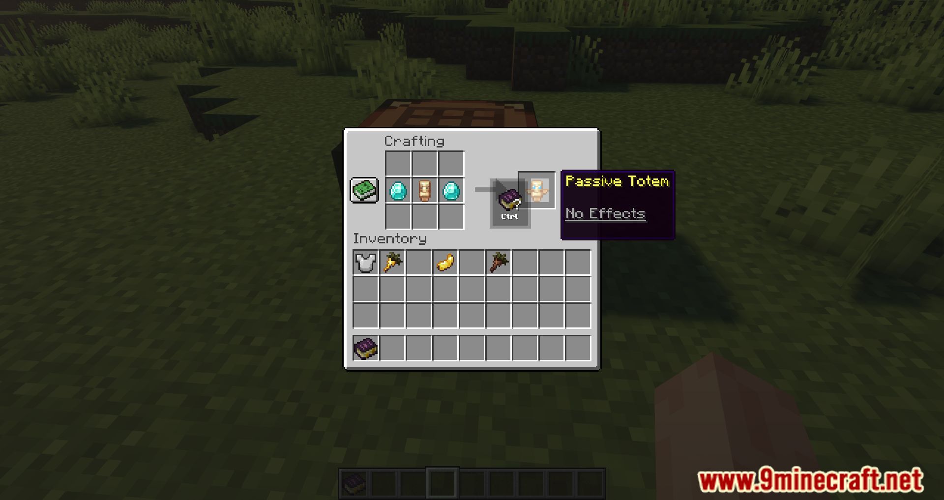 Totemic Overhaul Mod (1.16.5) - Customize Your Totems 4