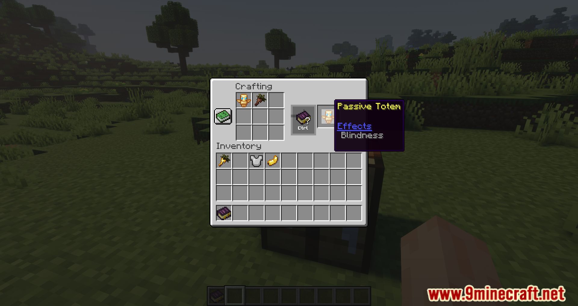 Totemic Overhaul Mod (1.16.5) - Customize Your Totems 5