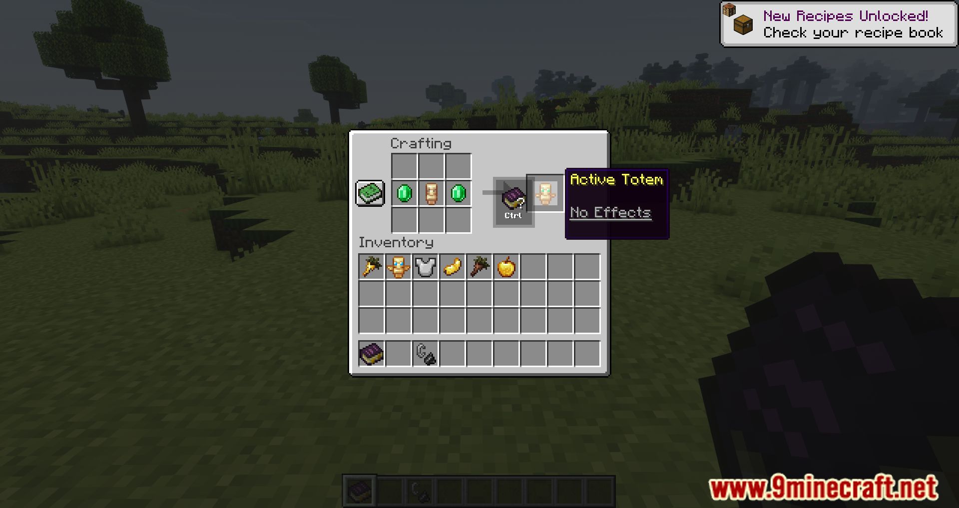 Totemic Overhaul Mod (1.16.5) - Customize Your Totems 8