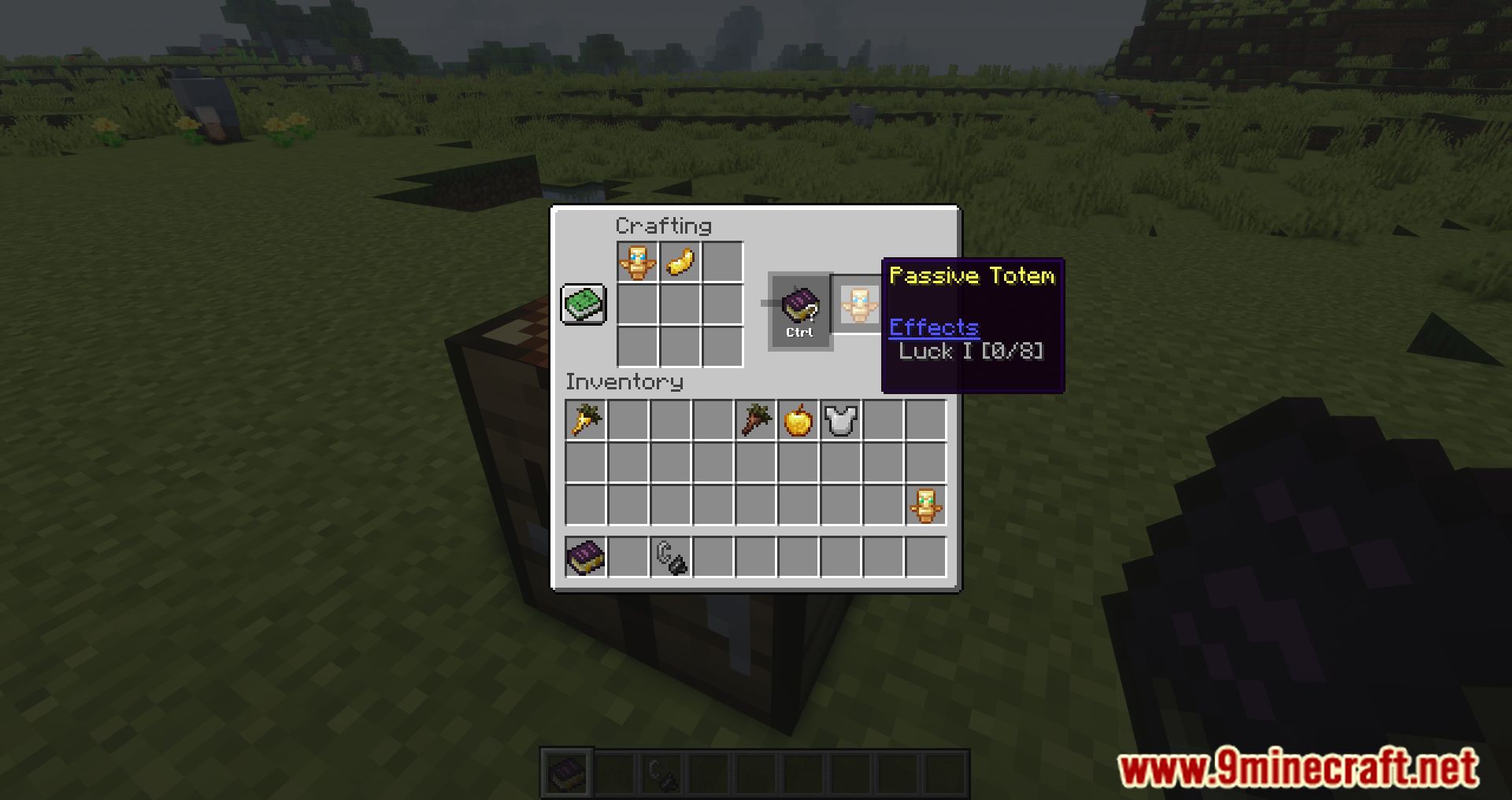 Totemic Overhaul Mod (1.16.5) - Customize Your Totems 9