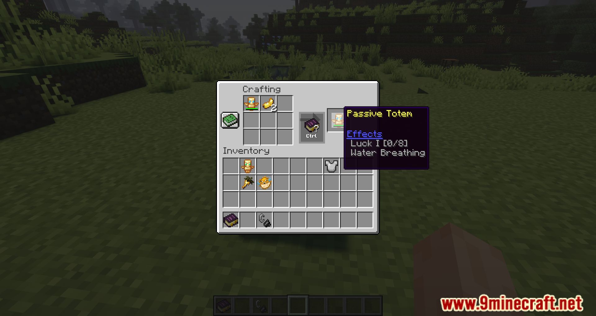 Totemic Overhaul Mod (1.16.5) - Customize Your Totems 16