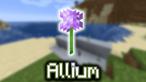 Allium – Wiki Guide Thumbnail