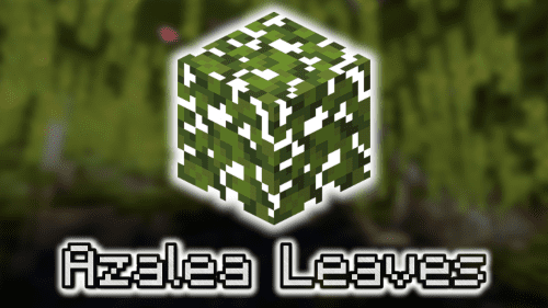 Azalea Leaves – Wiki Guide Thumbnail