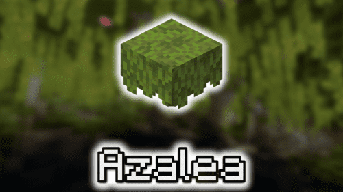 Azalea – Wiki Guide Thumbnail