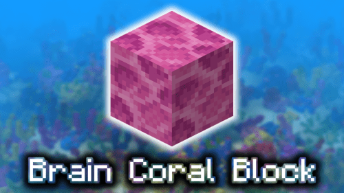 Brain Coral Block – Wiki Guide Thumbnail
