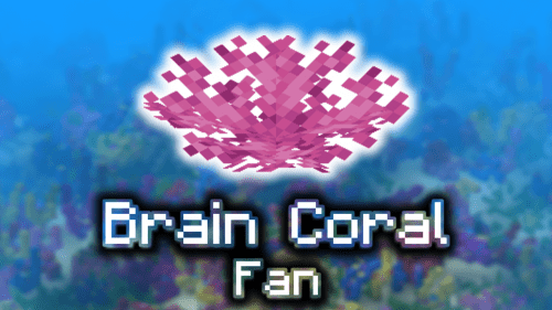 Brain Coral Fan – Wiki Guide Thumbnail