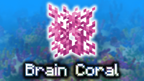Brain Coral – Wiki Guide Thumbnail