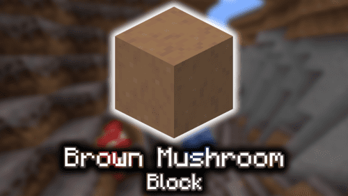 Brown Mushroom Block – Wiki Guide Thumbnail