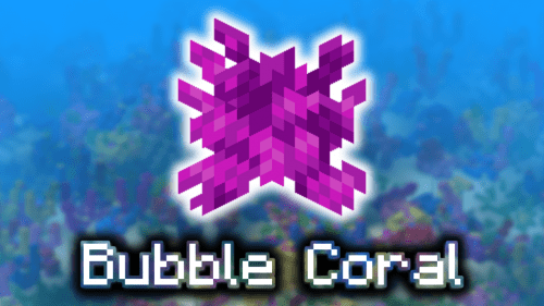 Bubble Coral – Wiki Guide Thumbnail