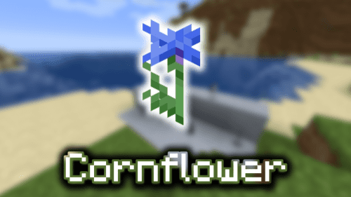 Cornflower – Wiki Guide Thumbnail