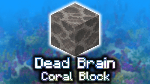 Dead Brain Coral Block – Wiki Guide Thumbnail