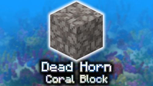 Dead Horn Coral Block – Wiki Guide Thumbnail