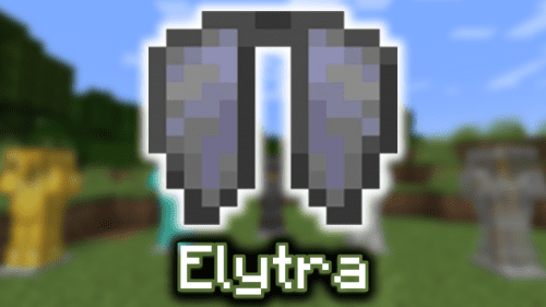 Elytra – Wiki Guide Thumbnail