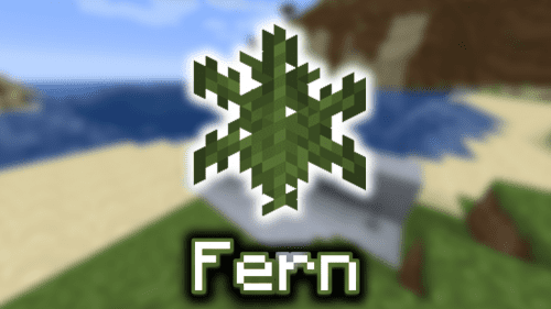 Fern – Wiki Guide Thumbnail
