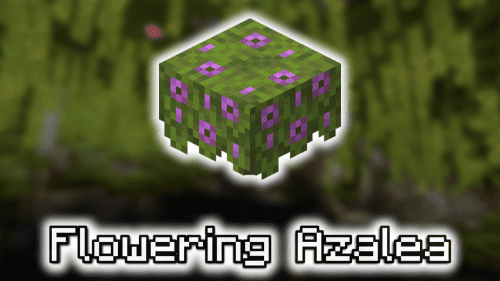 Flowering Azalea – Wiki Guide Thumbnail