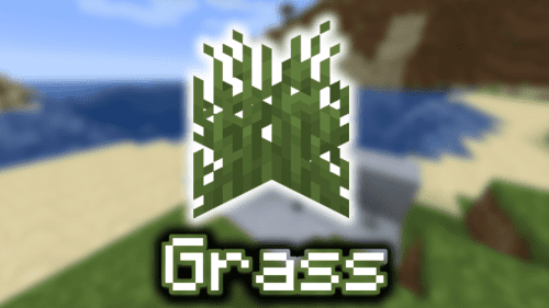 Grass – Wiki Guide Thumbnail