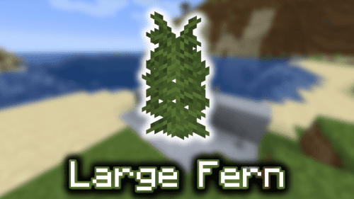 Large Fern – Wiki Guide Thumbnail
