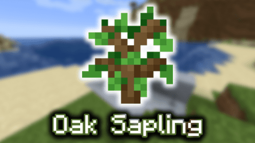 Oak Sapling – Wiki Guide Thumbnail