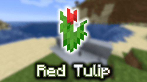Red Tulip – Wiki Guide Thumbnail