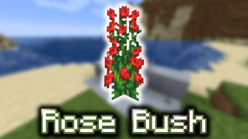 Rose Bush – Wiki Guide Thumbnail