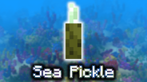Sea Pickle – Wiki Guide Thumbnail