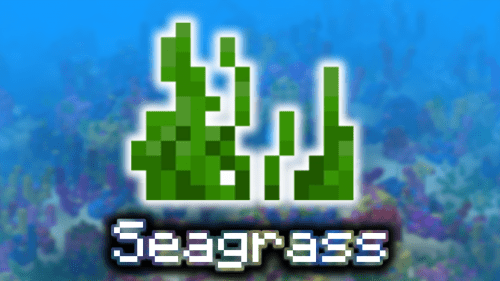 Seagrass – Wiki Guide Thumbnail