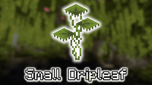 Small Dripleaf – Wiki Guide Thumbnail