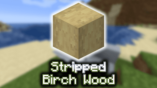 Stripped Birch Wood – Wiki Guide Thumbnail