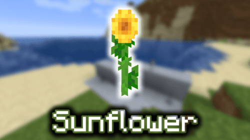 Sunflower – Wiki Guide Thumbnail