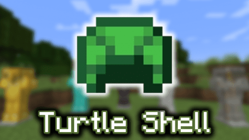 Turtle Shell – Wiki Guide Thumbnail