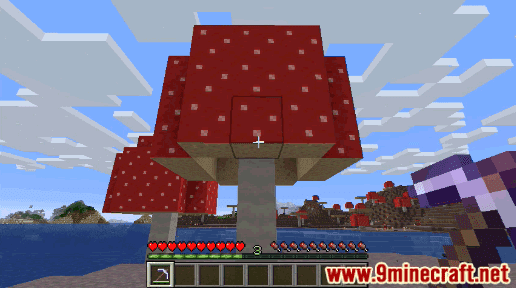 Red Mushroom Block - Wiki Guide 8