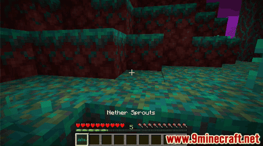 Nether Sprouts - Wiki Guide 9