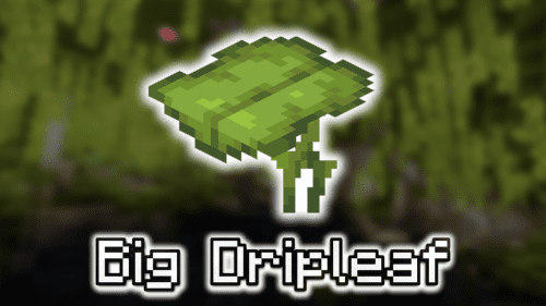 Big Dripleaf – Wiki Guide Thumbnail