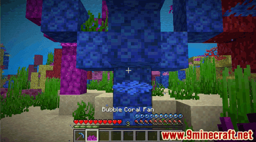 Bubble Coral Fan - Wiki Guide 27
